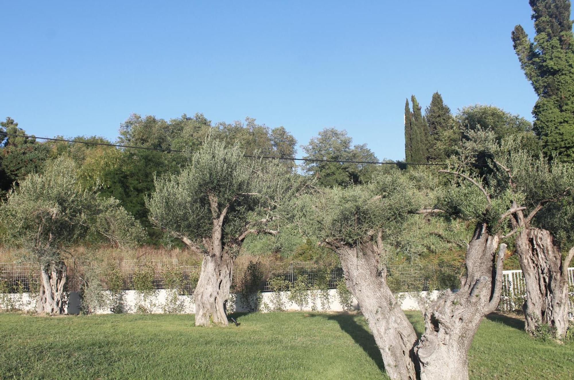 Kanálion Stablo Residence מראה חיצוני תמונה